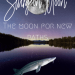 Sturgeon Full moon shining down on a lake with a sturgeon fish.