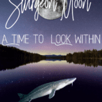 Sturgeon Full moon shining down on a lake with a sturgeon fish