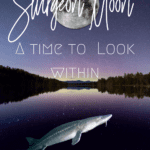 Sturgeon Full moon shining down on a lake with a sturgeon fish